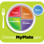From the Pyramid to a Plate