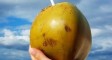 Coconut Water