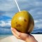 Coconut Water