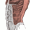 Abs and Lower Back